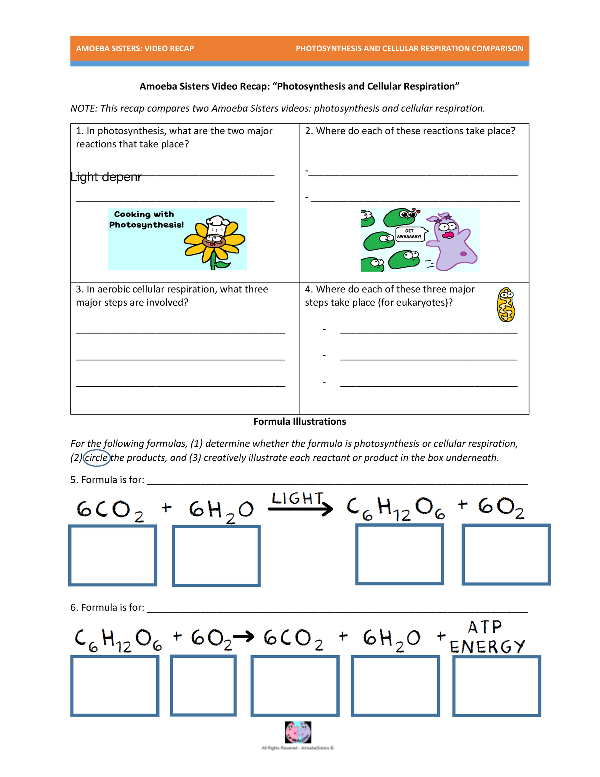 Amoeba Sisters Mutations Worksheet 58