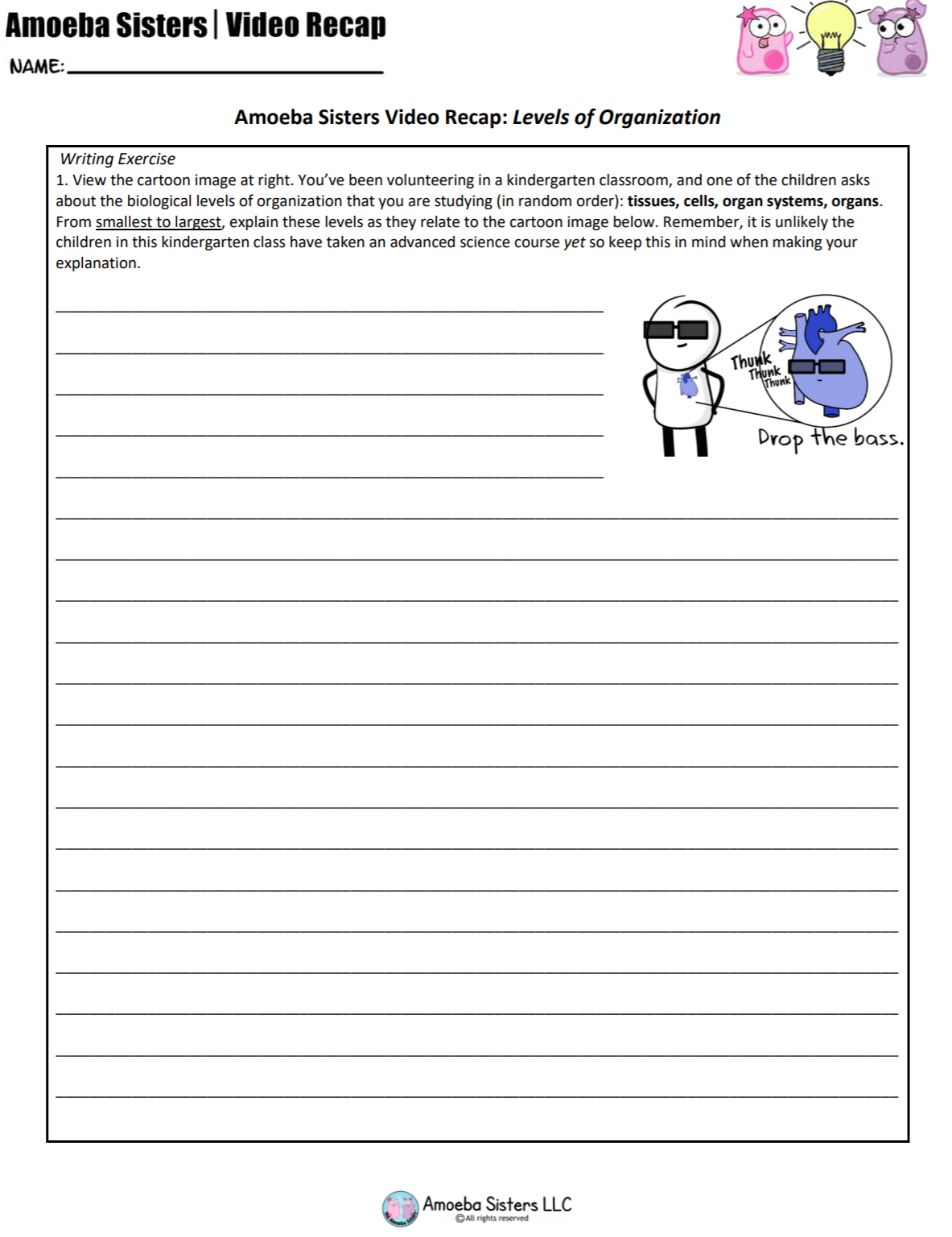 Amoeba Sisters Mutations Worksheet 60