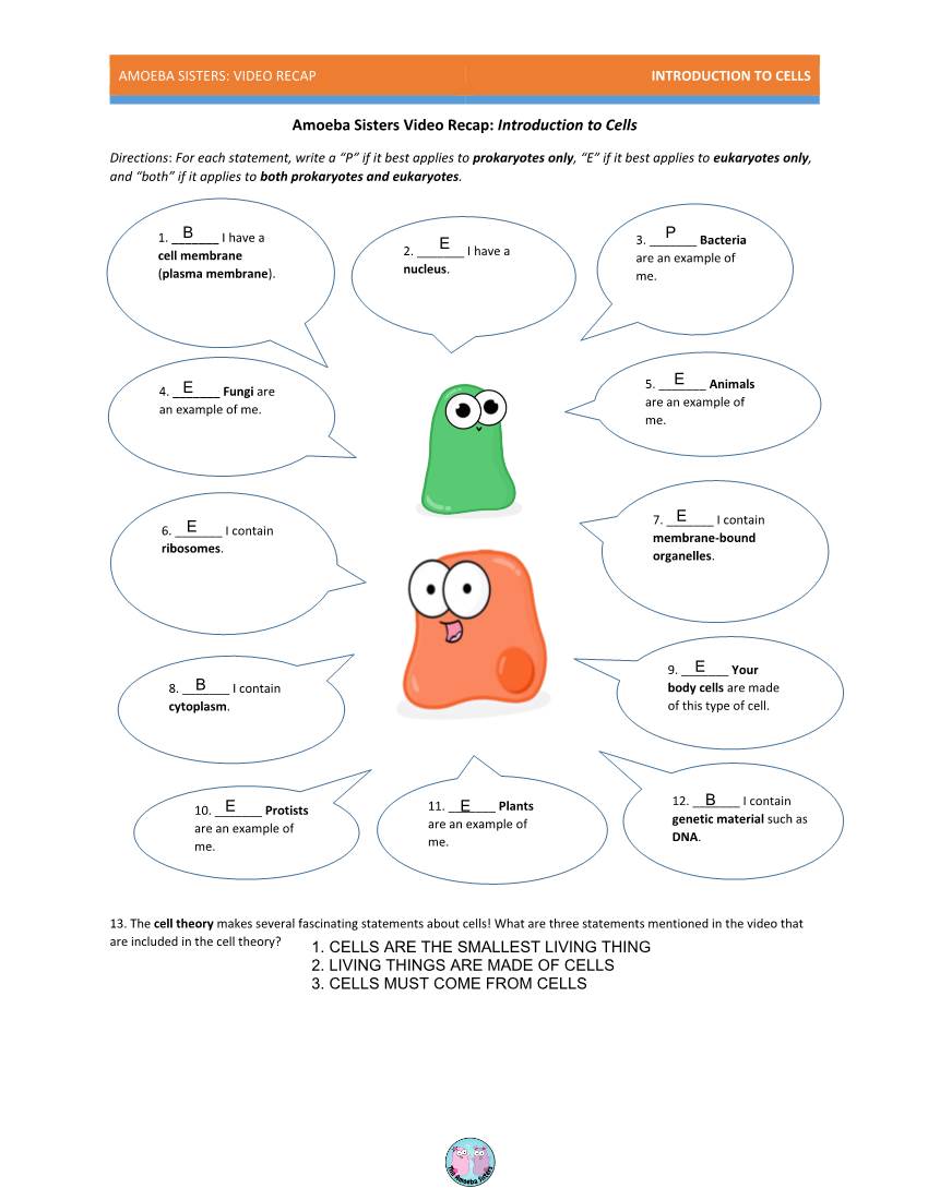 Amoeba Sisters Mutations Worksheet 69