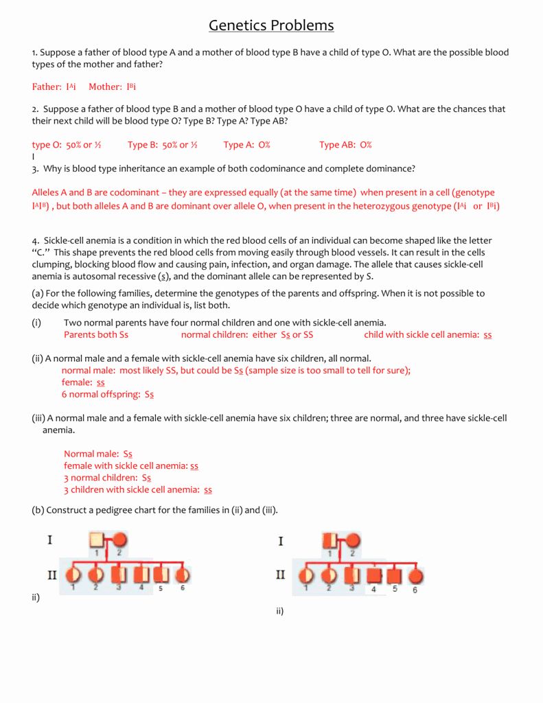 Amoeba Sisters Mutations Worksheet 71