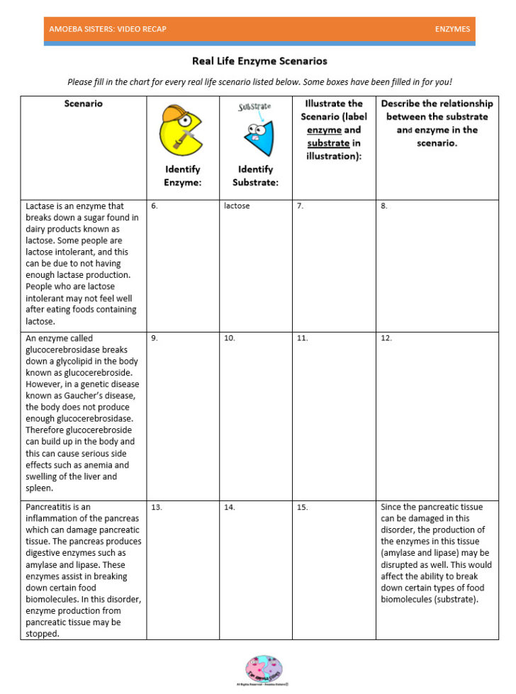 Amoeba Sisters Mutations Worksheet 72