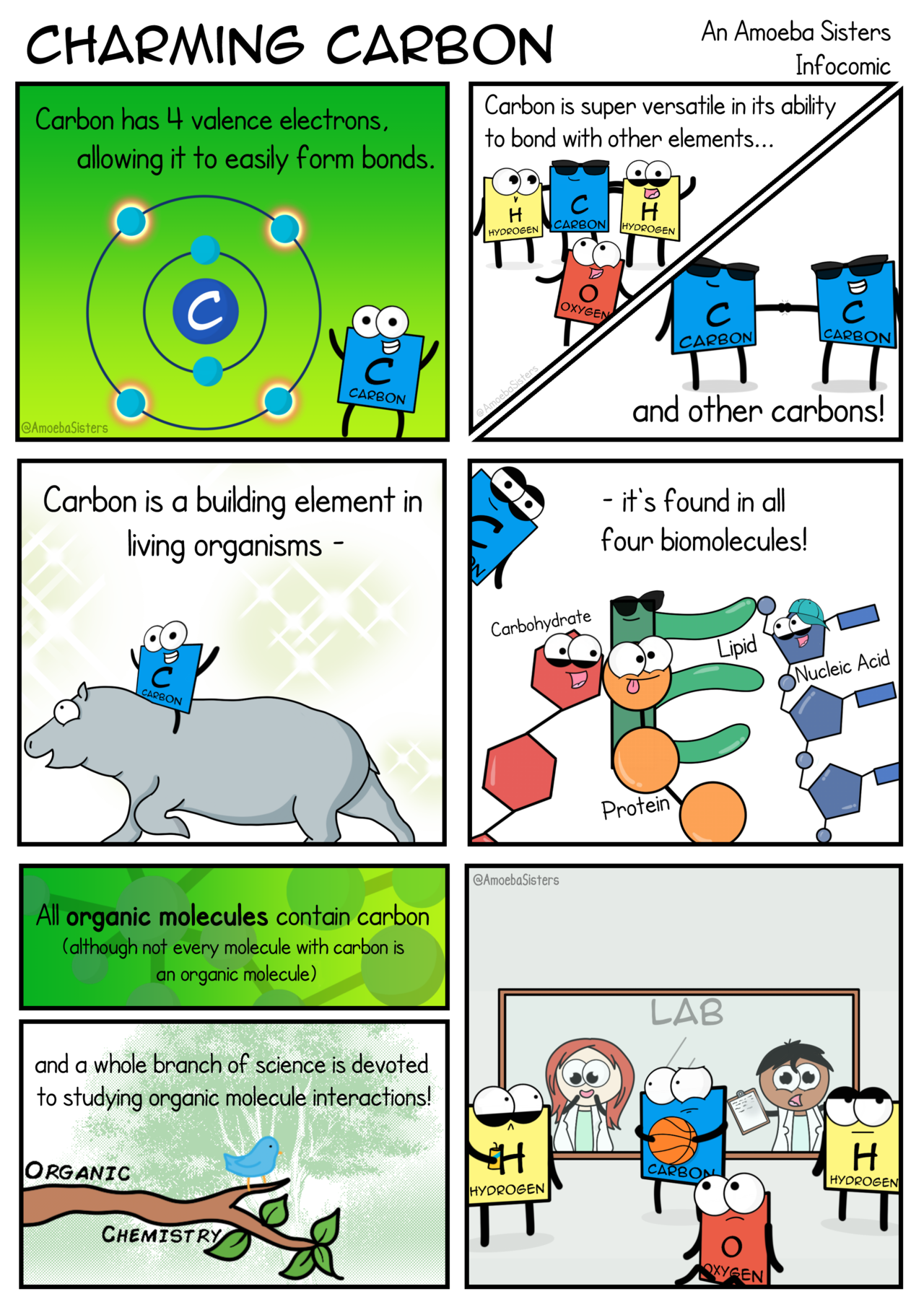 Amoeba Sisters Mutations Worksheet 76