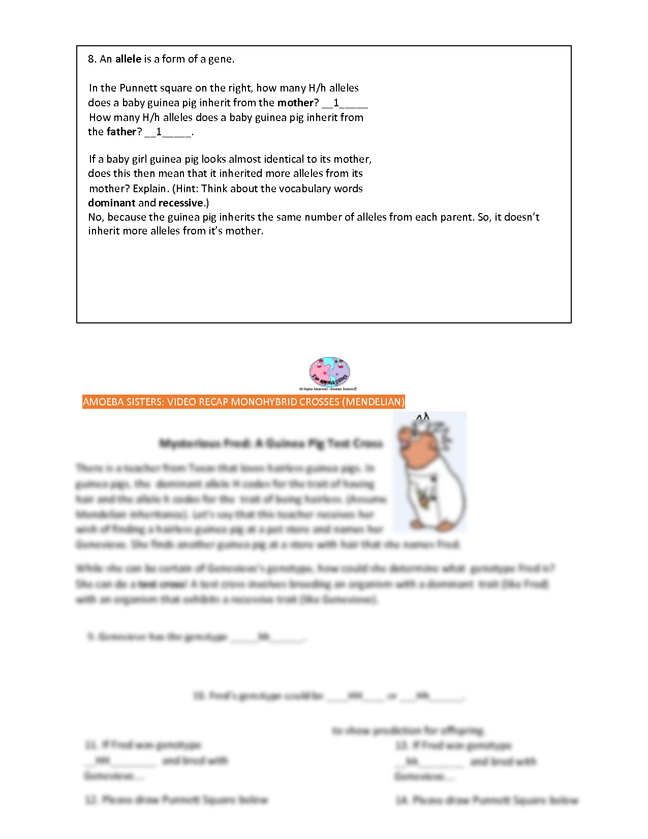 Amoeba Sisters Mutations Worksheet 78