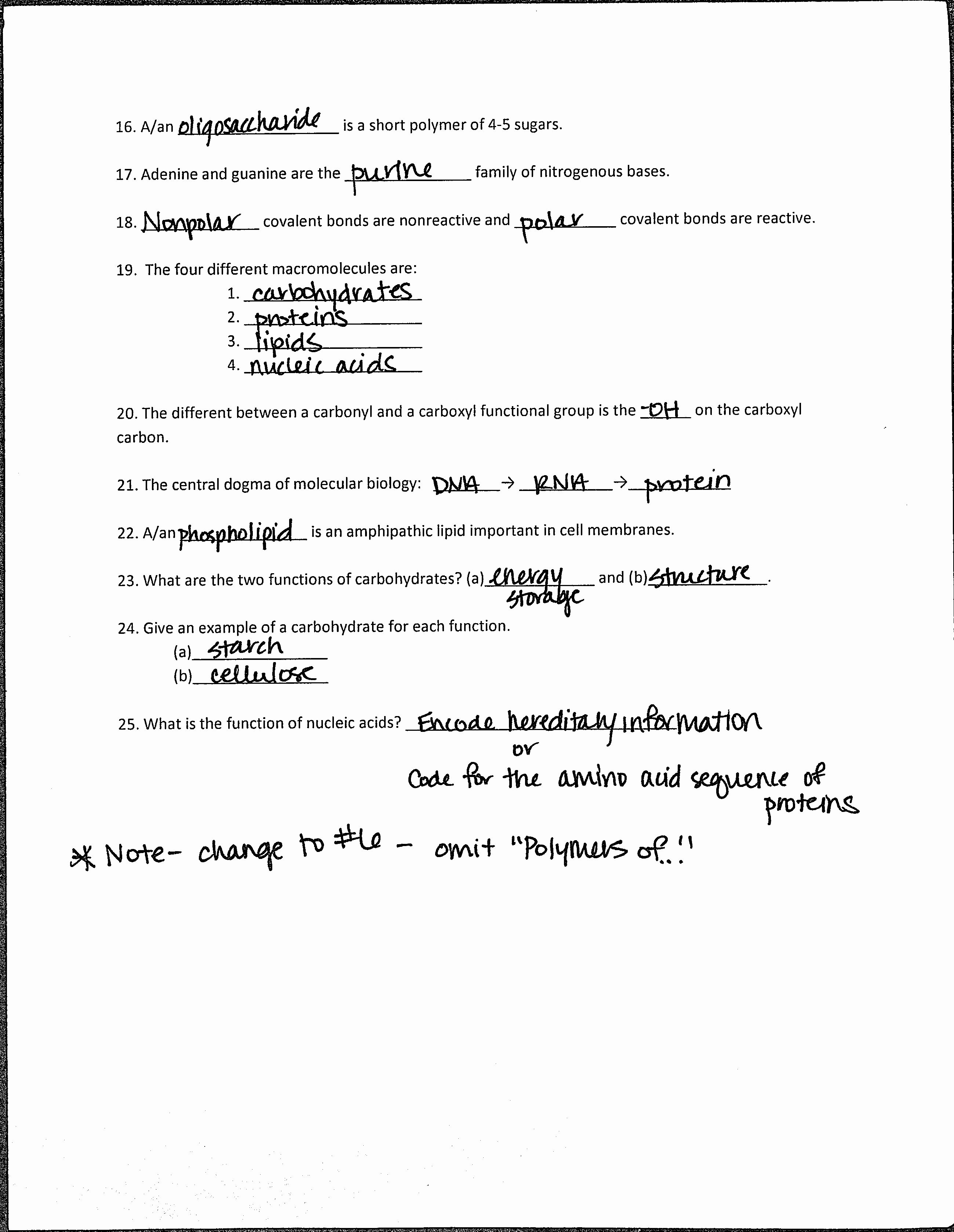 Amoeba Sisters Mutations Worksheet 8