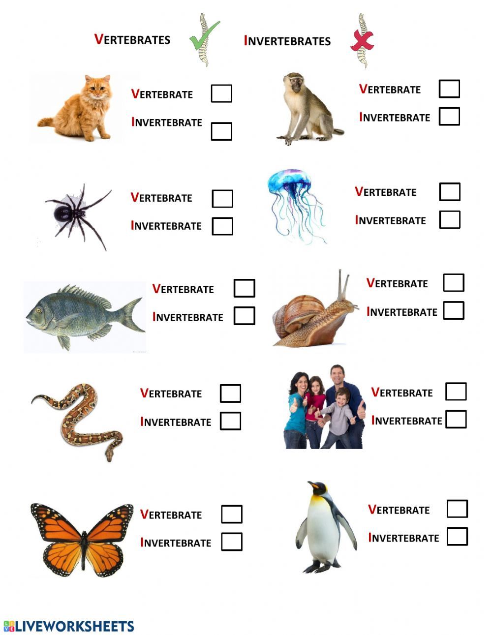 Print 40+ Vertebrates And Invertebrates Worksheets 1