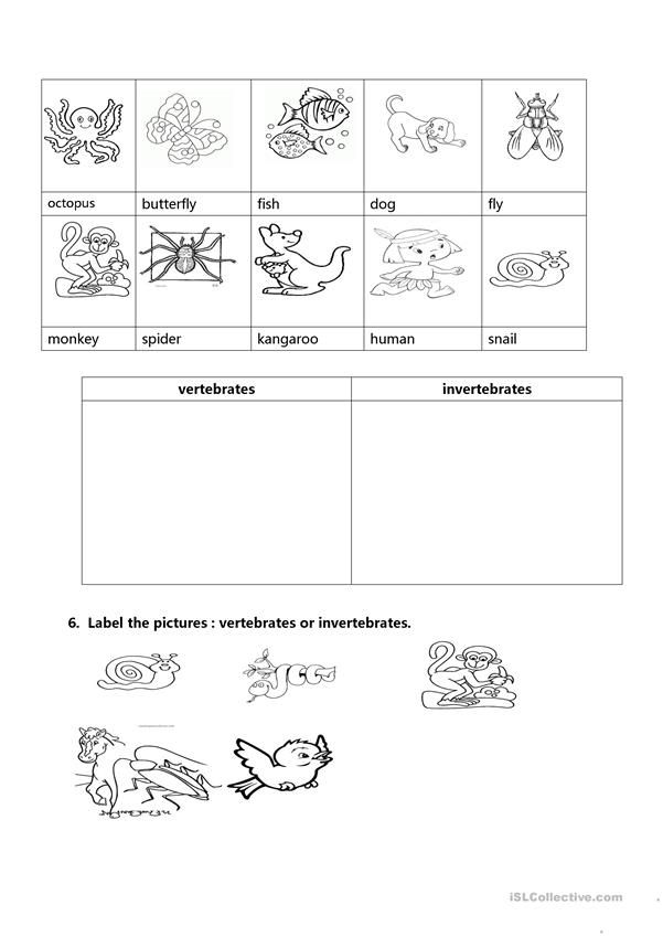 Print 40+ Vertebrates And Invertebrates Worksheets 11