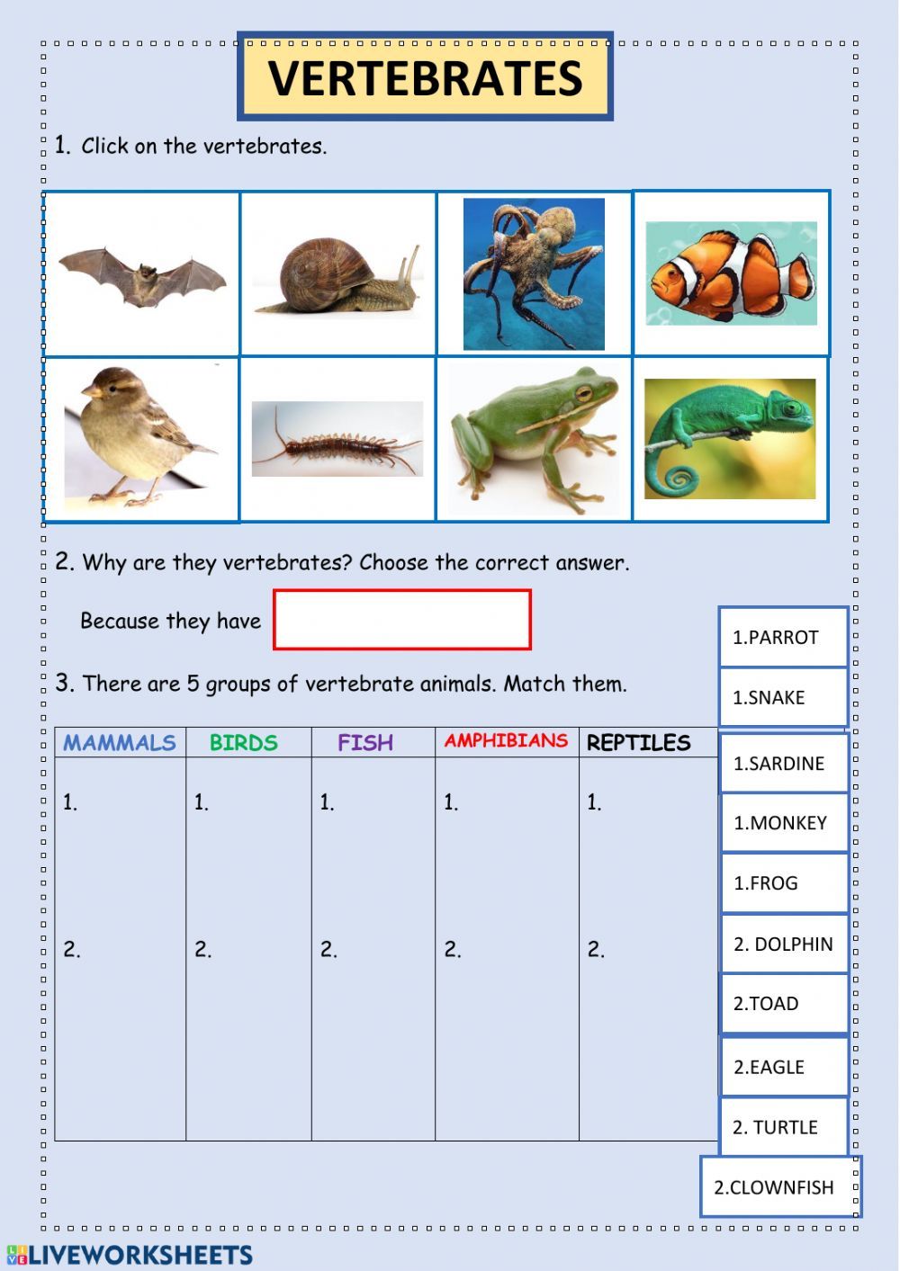 Print 40+ Vertebrates And Invertebrates Worksheets 13