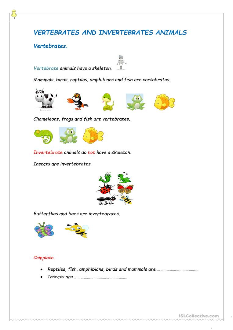 Print 40+ Vertebrates And Invertebrates Worksheets 14