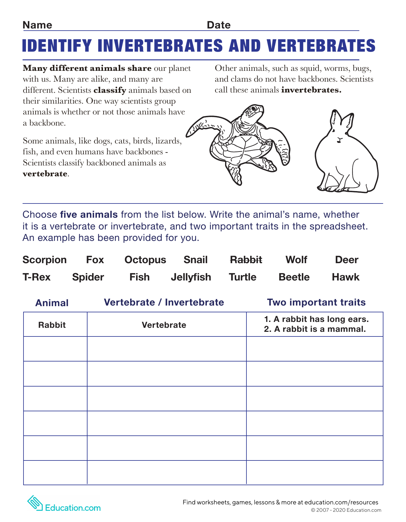 Print 40+ Vertebrates And Invertebrates Worksheets 16