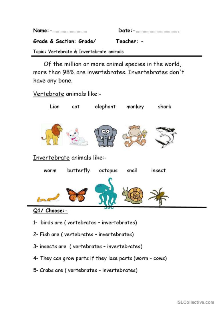 Print 40+ Vertebrates And Invertebrates Worksheets 19