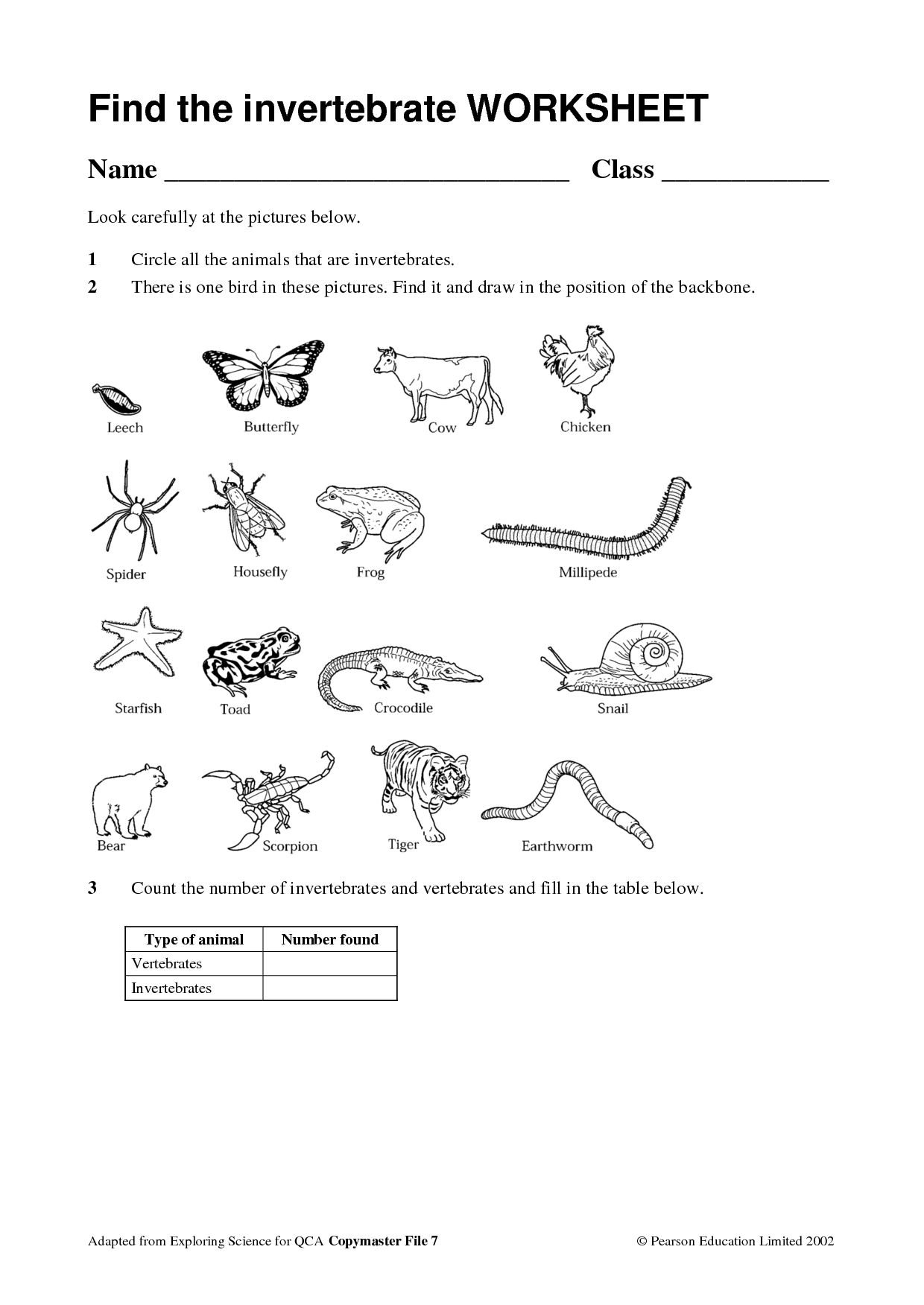 Print 40+ Vertebrates And Invertebrates Worksheets 2