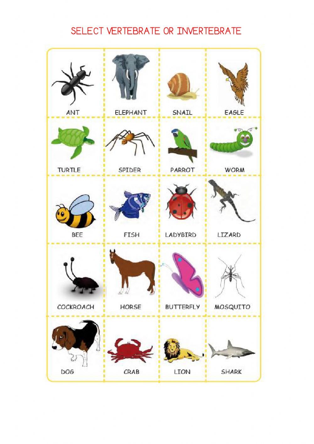 Print 40+ Vertebrates And Invertebrates Worksheets 29