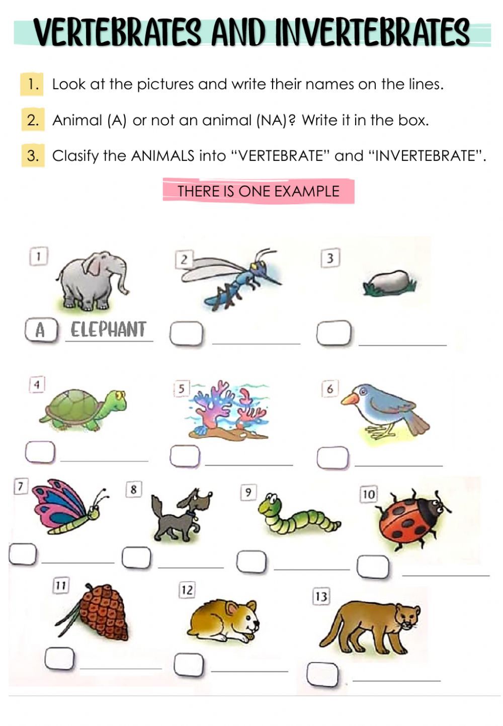 Print 40+ Vertebrates And Invertebrates Worksheets 3