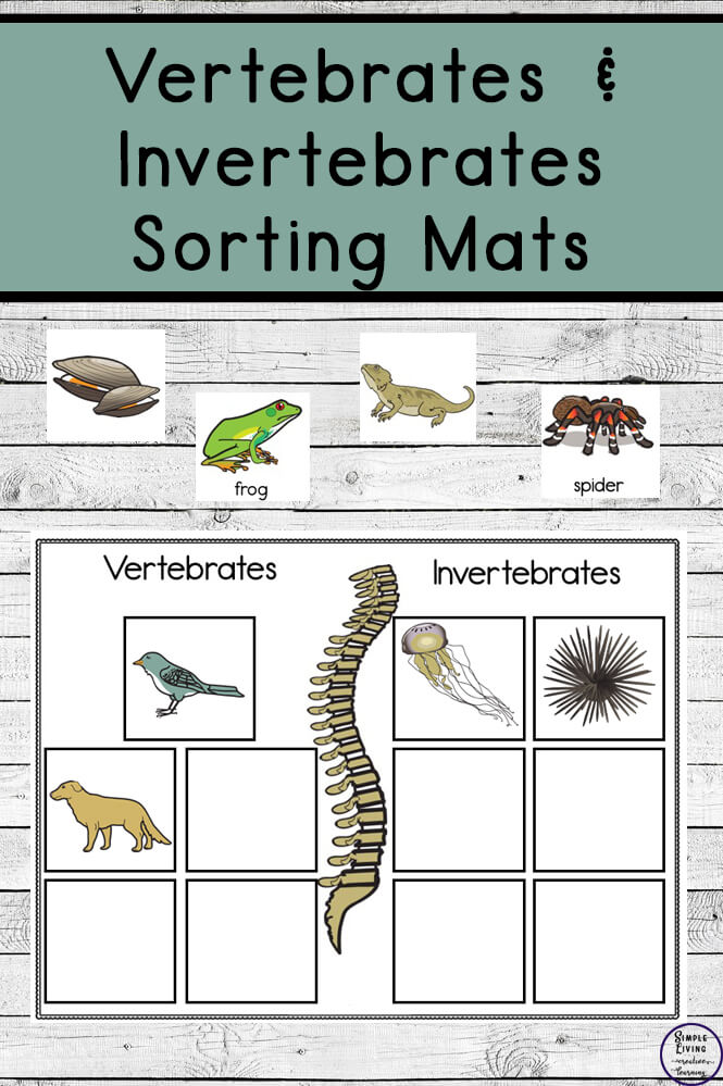 Print 40+ Vertebrates And Invertebrates Worksheets 32