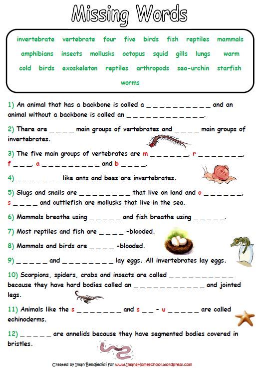 Print 40+ Vertebrates And Invertebrates Worksheets 38