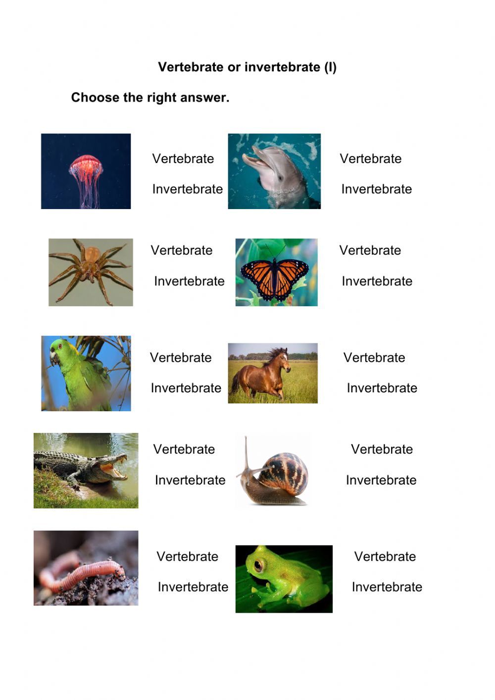 Print 40+ Vertebrates And Invertebrates Worksheets 41