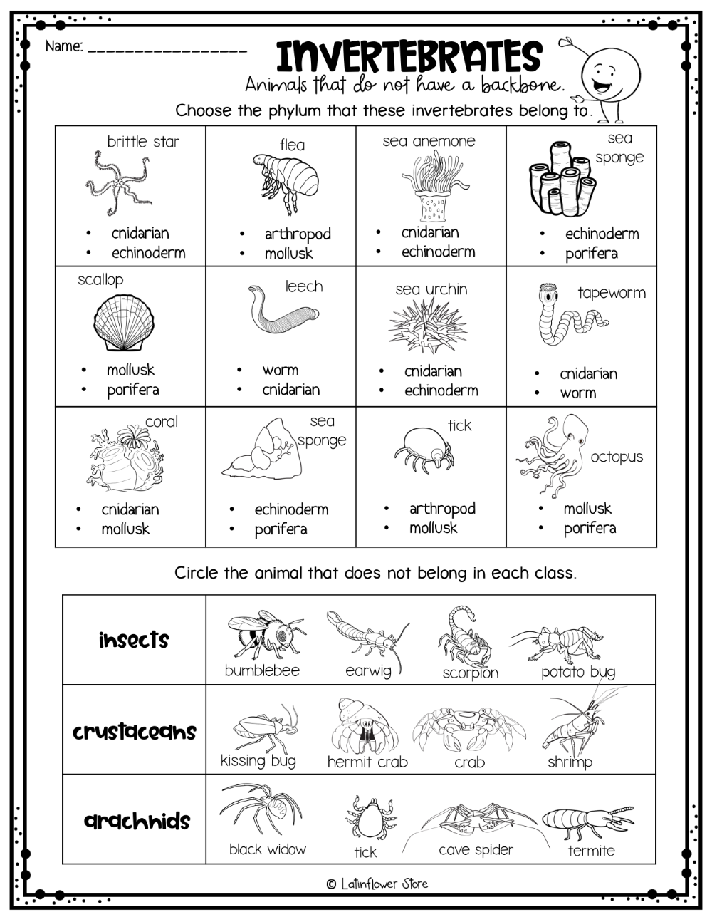 Print 40+ Vertebrates And Invertebrates Worksheets 42