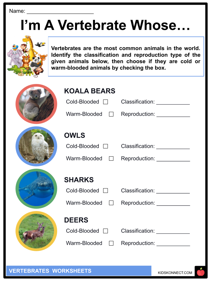 Print 40+ Vertebrates And Invertebrates Worksheets 43