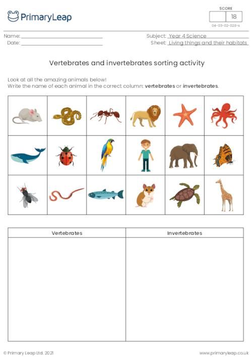 Print 40+ Vertebrates And Invertebrates Worksheets 48