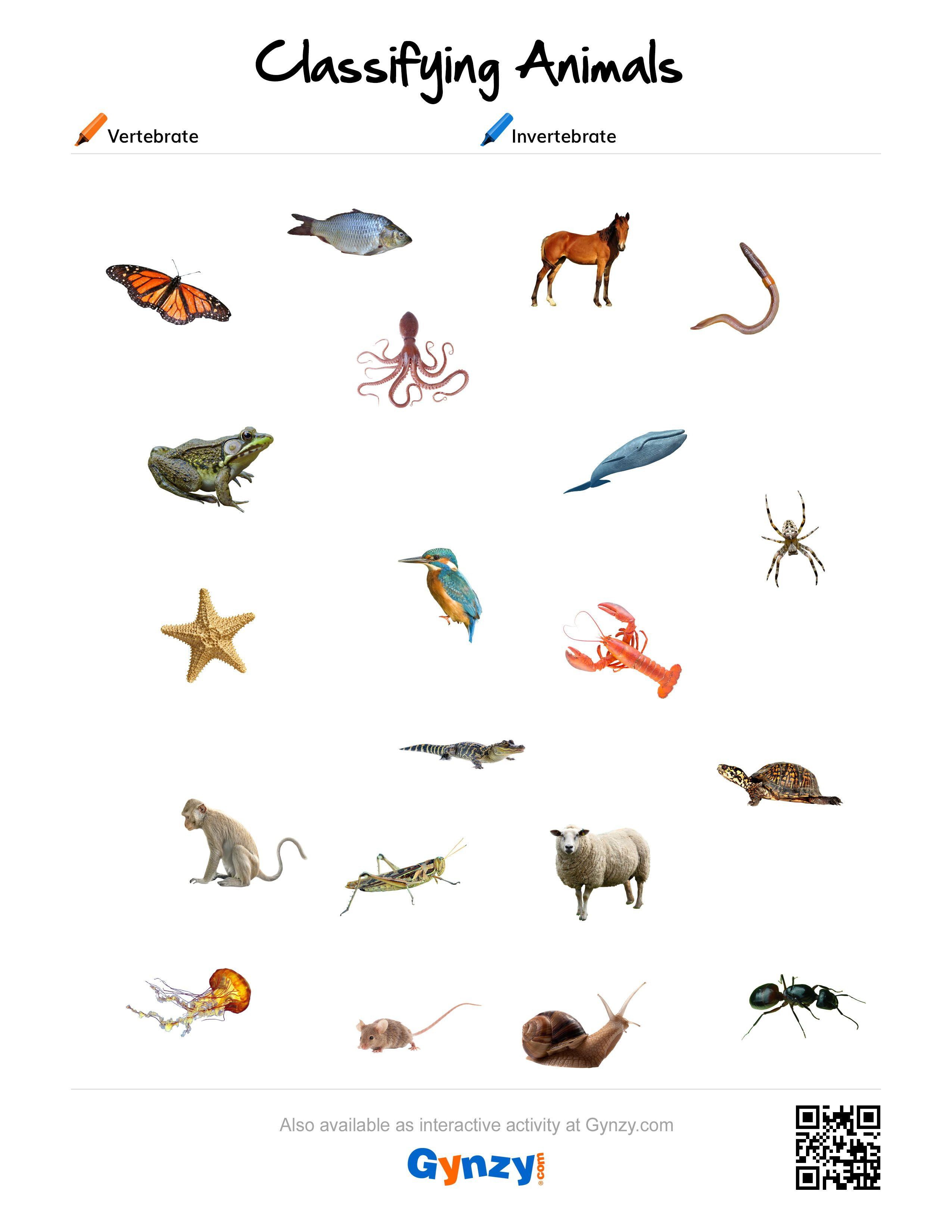 Print 40+ Vertebrates And Invertebrates Worksheets 54