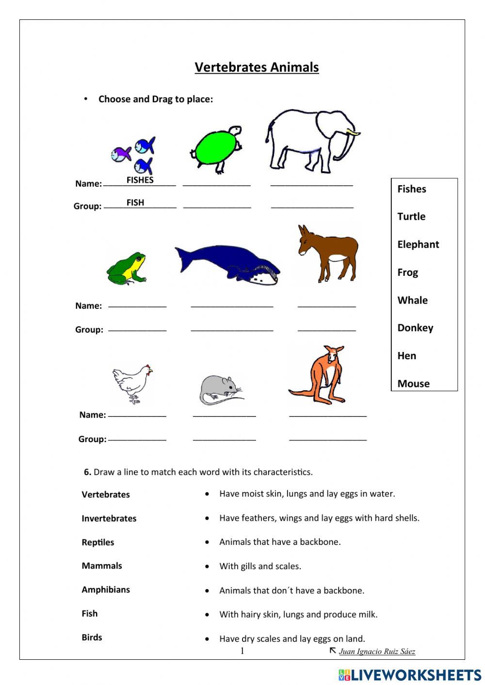 Print 40+ Vertebrates And Invertebrates Worksheets 56