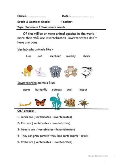 Print 40+ Vertebrates And Invertebrates Worksheets 64