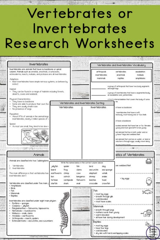 Print 40+ Vertebrates And Invertebrates Worksheets 8