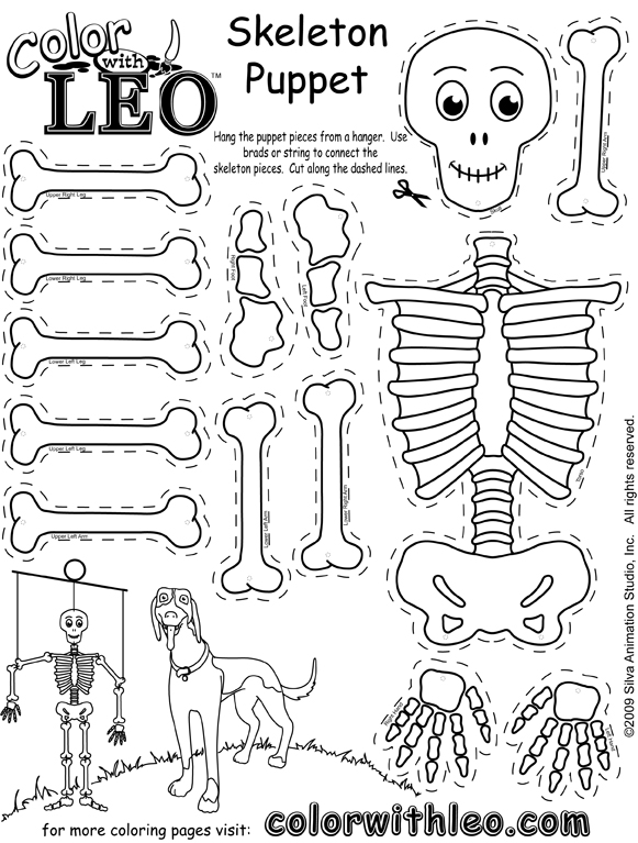 Printable Skeleton Labeling Worksheet 38