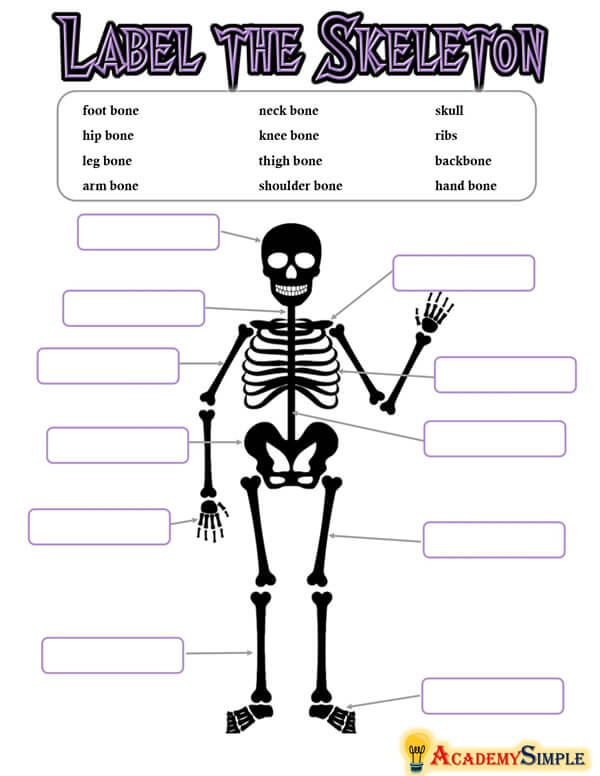 Printable Skeleton Labeling Worksheet 58