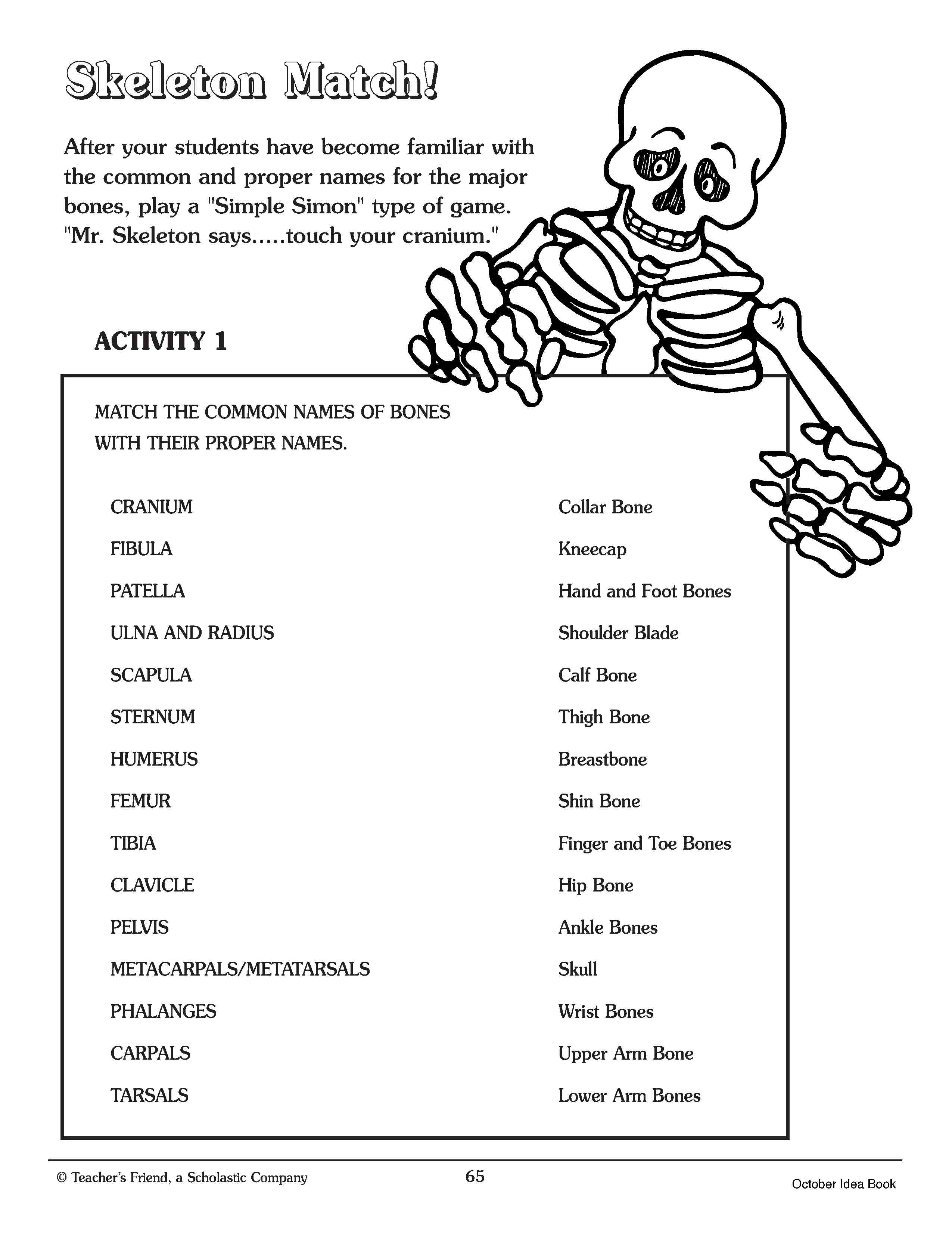 Printable Skeleton Labeling Worksheet 60