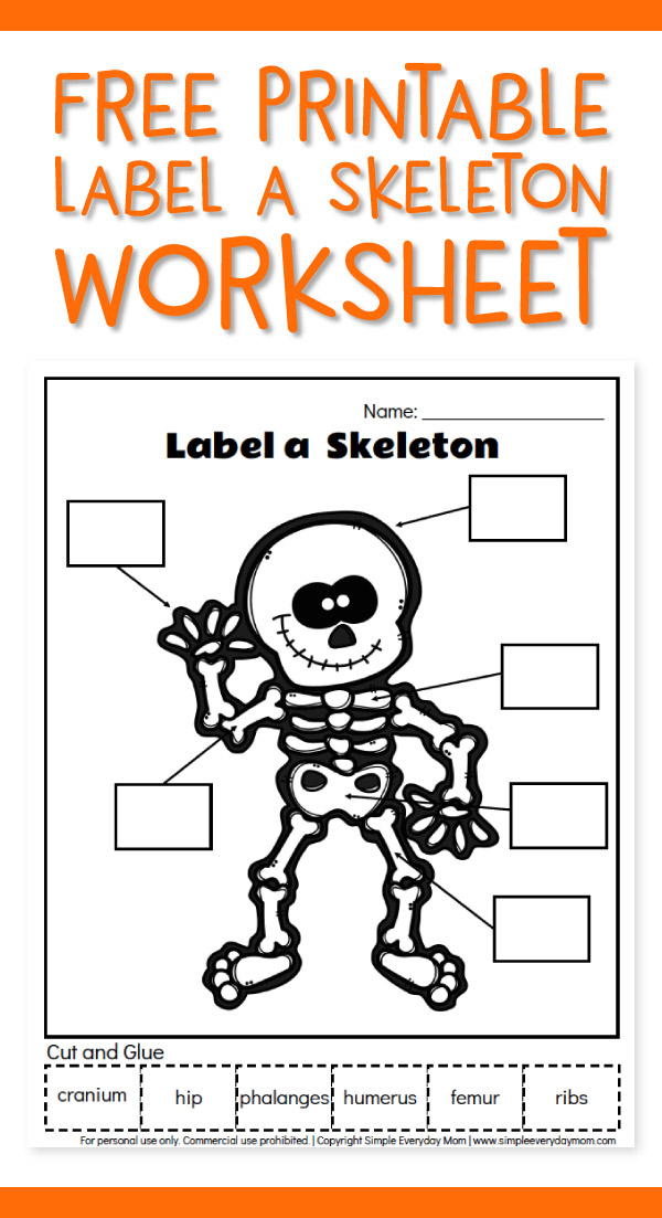 Printable Skeleton Labeling Worksheet 9