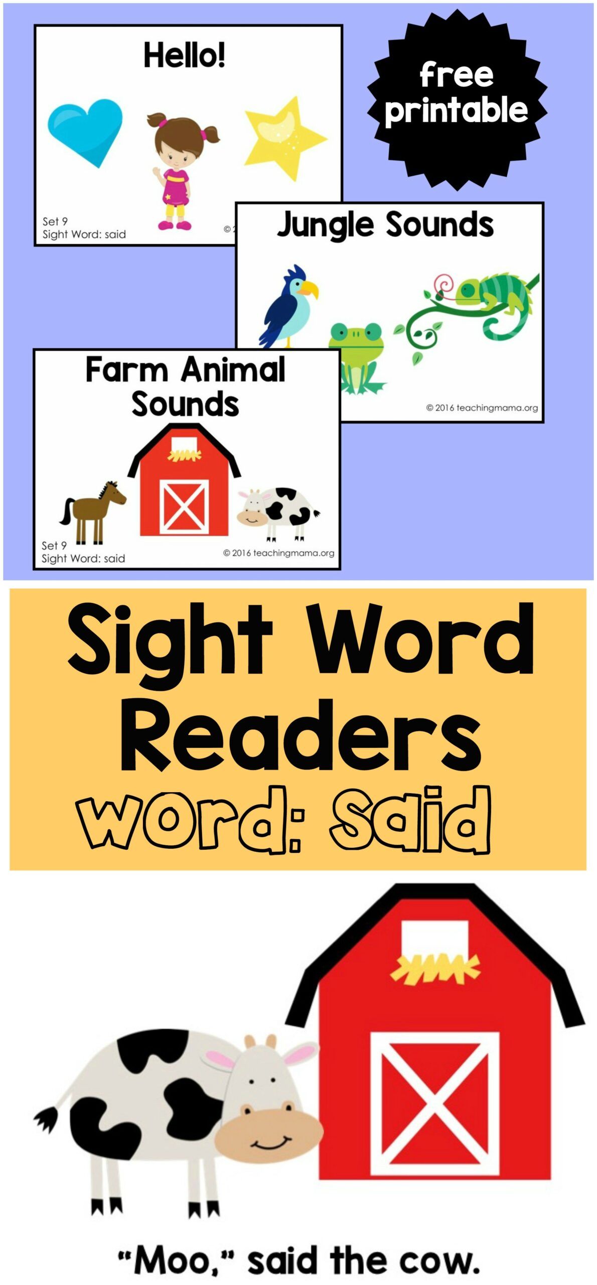 Said Sight Word Worksheet 12