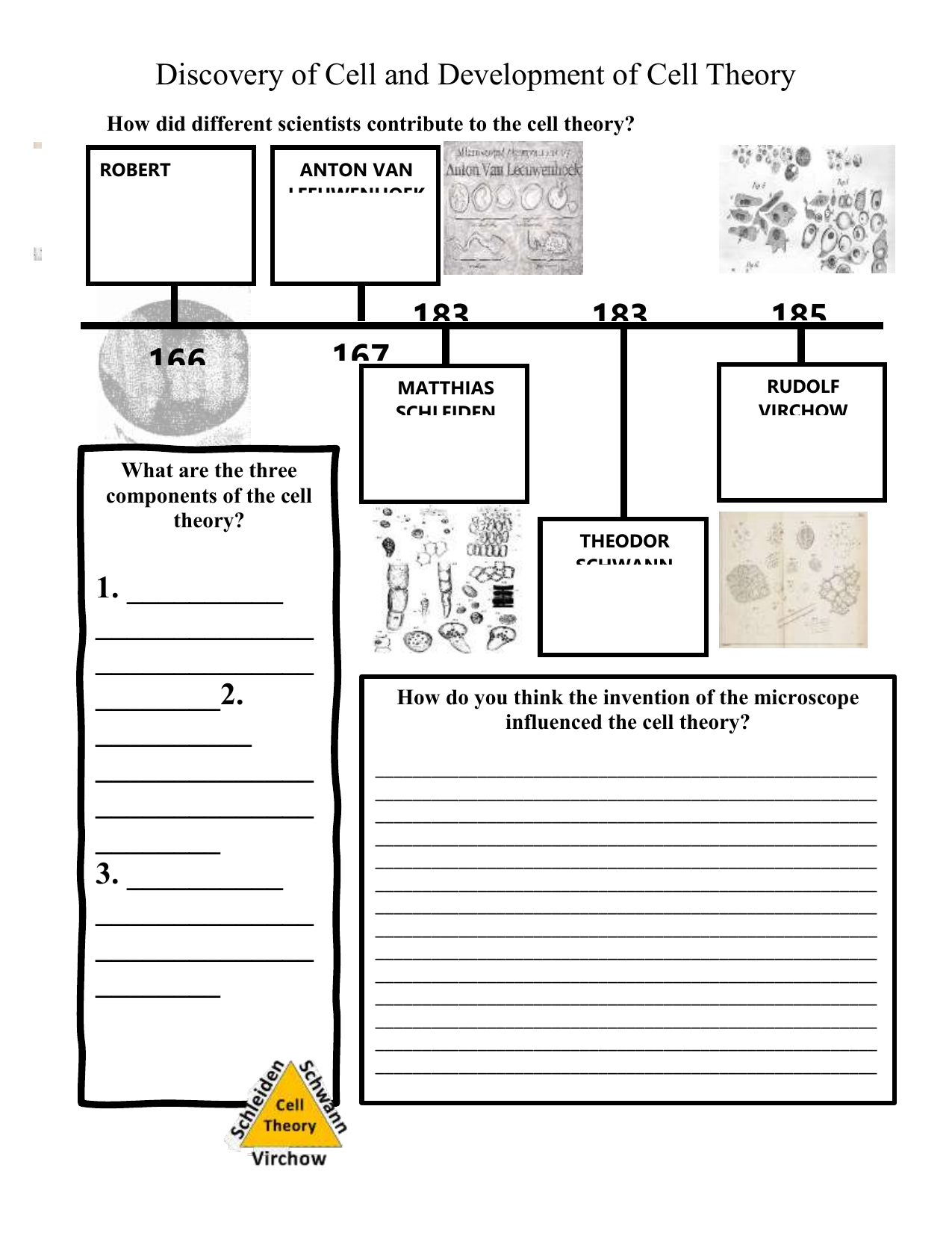 50 The Cell Theory Worksheet 1