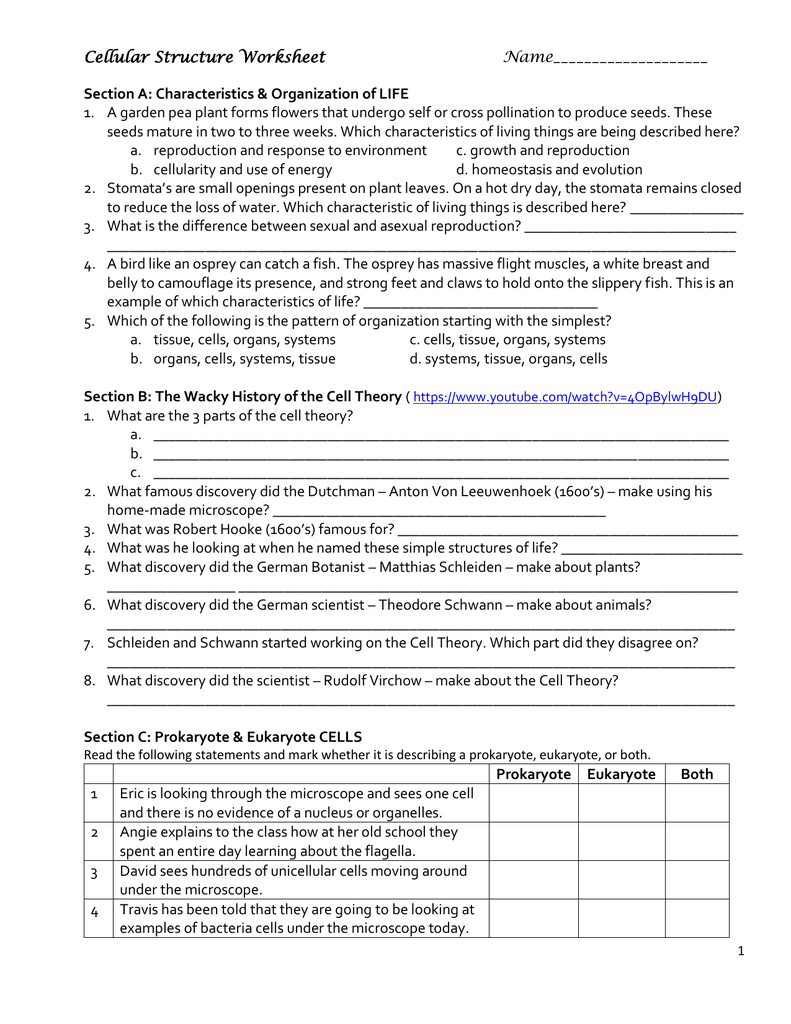 50 The Cell Theory Worksheet 15