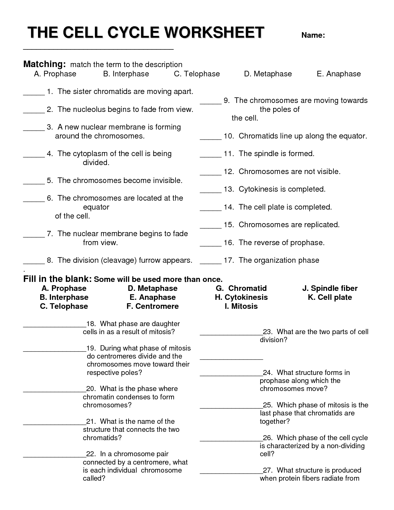 50 The Cell Theory Worksheet 32