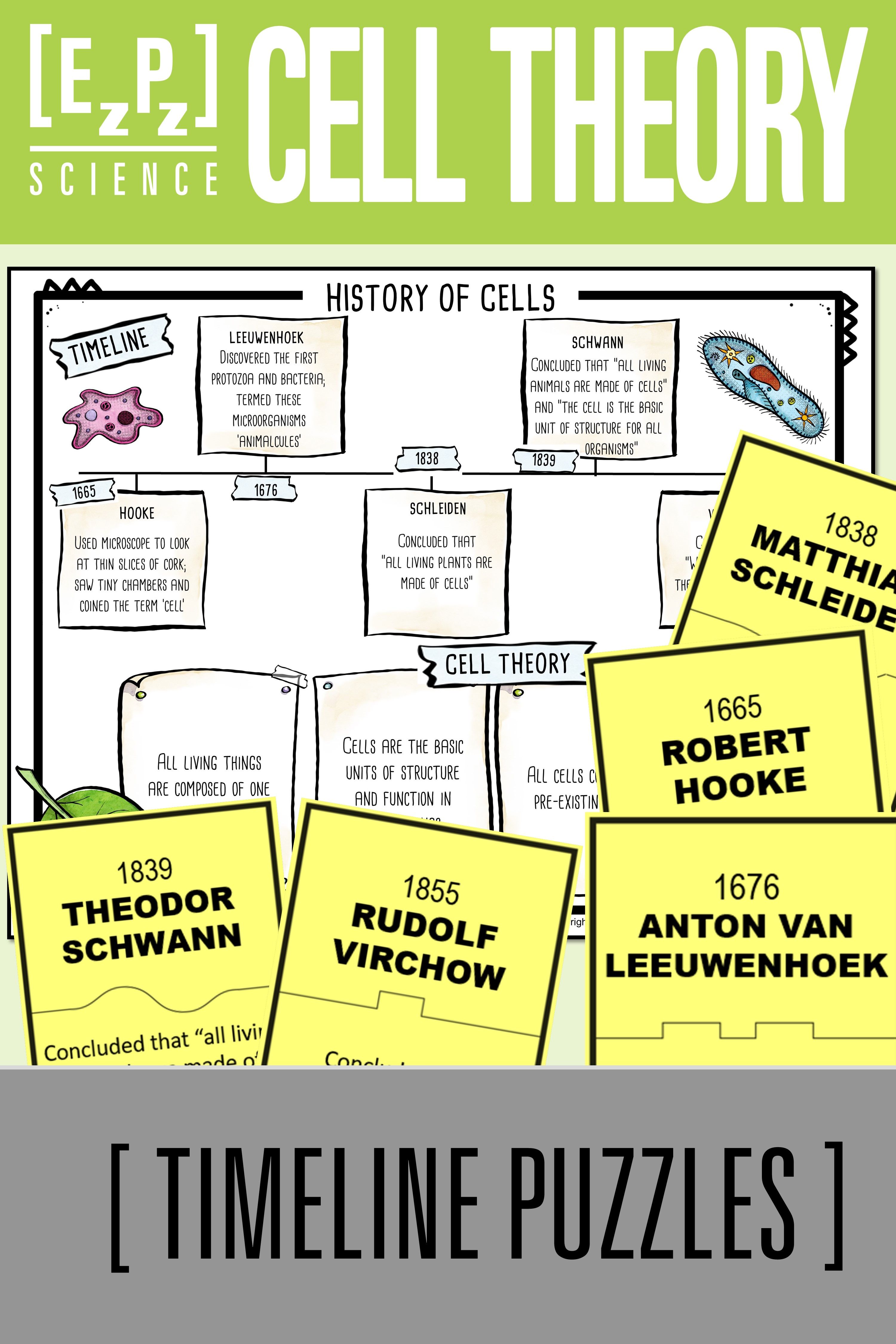 50 The Cell Theory Worksheet 34