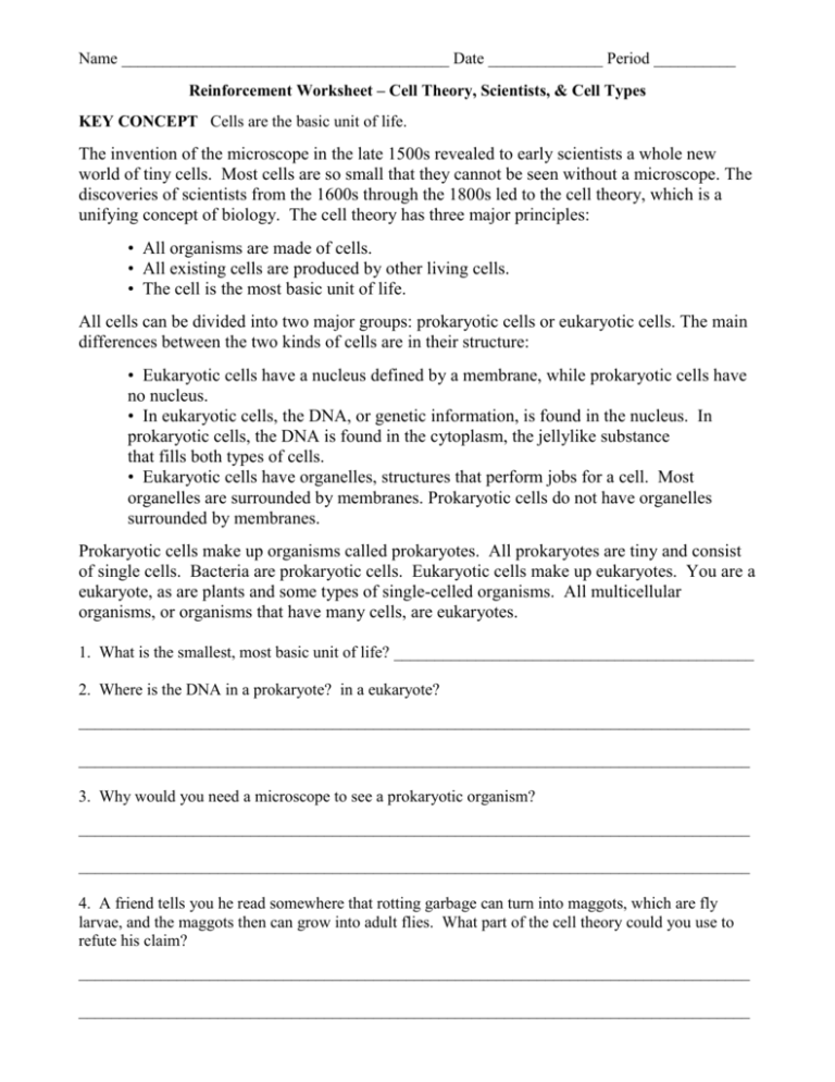 50 The Cell Theory Worksheet 5