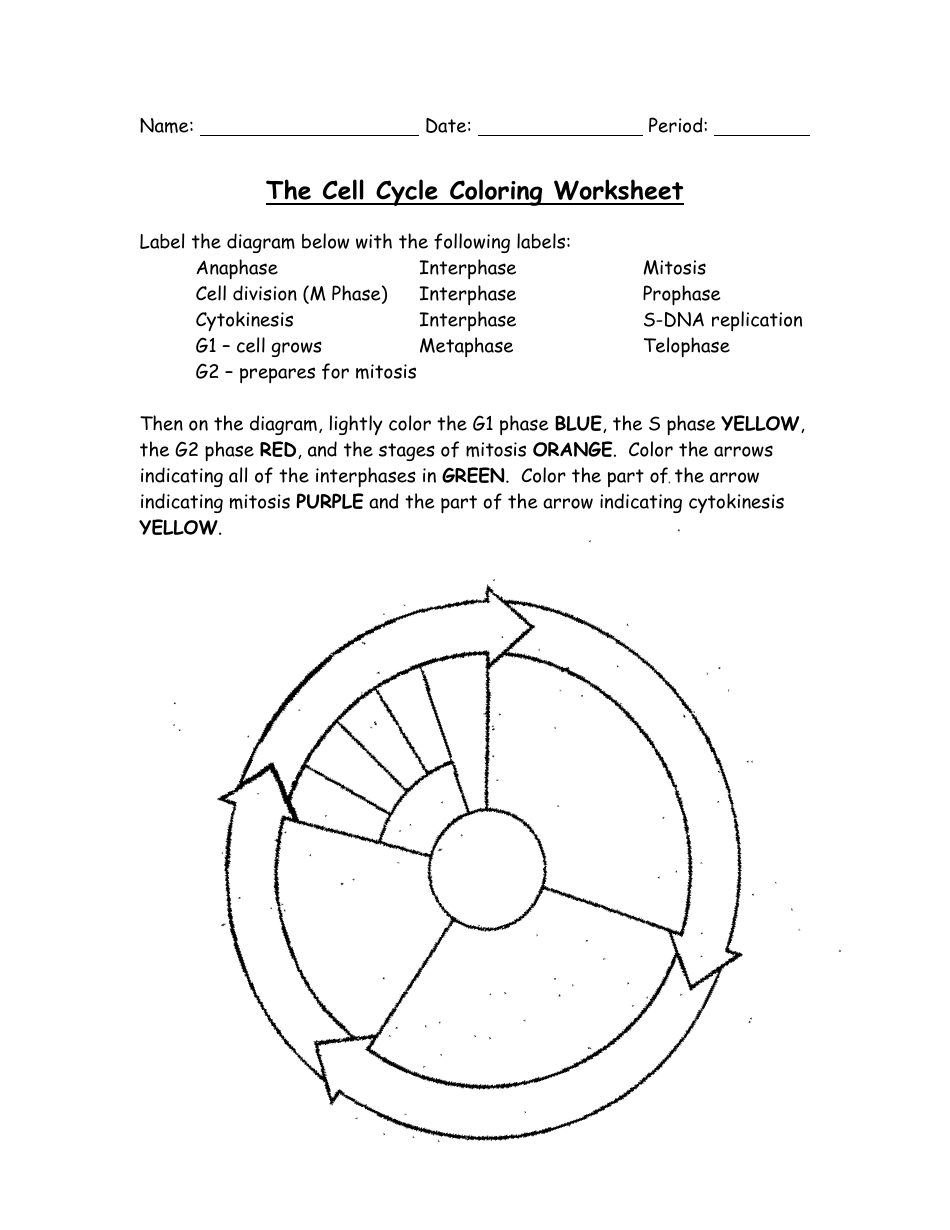 50 The Cell Theory Worksheet 54