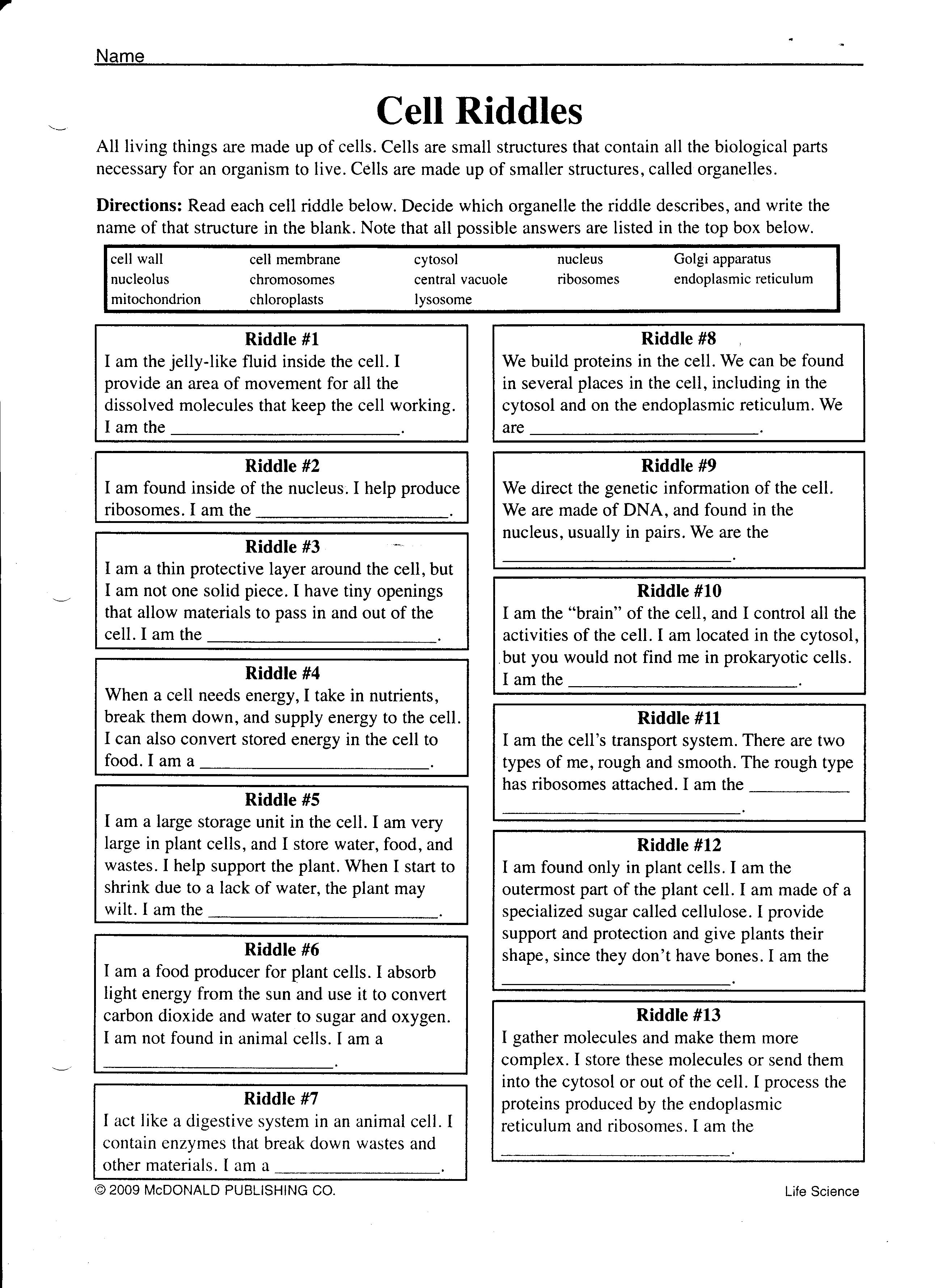 50 The Cell Theory Worksheet 55