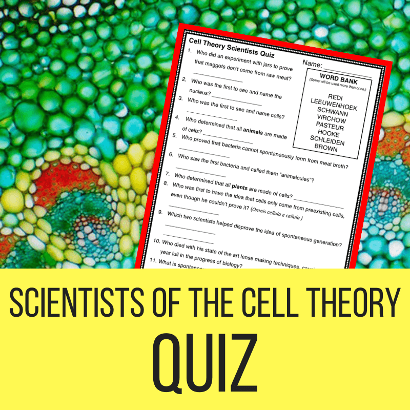 50 The Cell Theory Worksheet 8