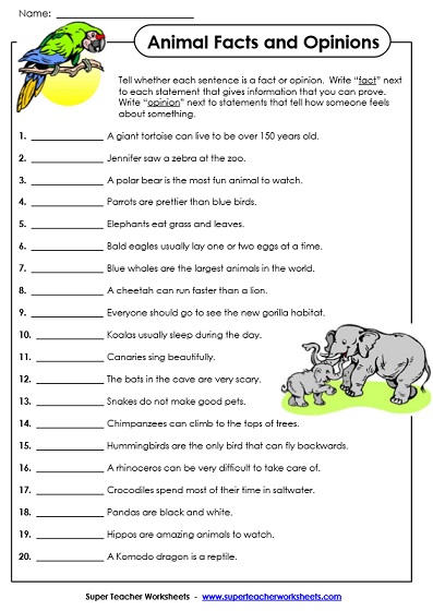 51 Fact Vs Opinion Worksheets 57