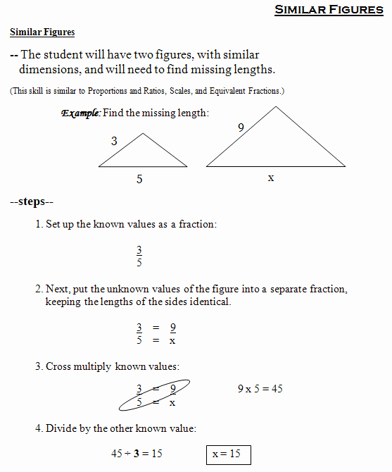 59 Similar Figures Worksheet Pdf 55