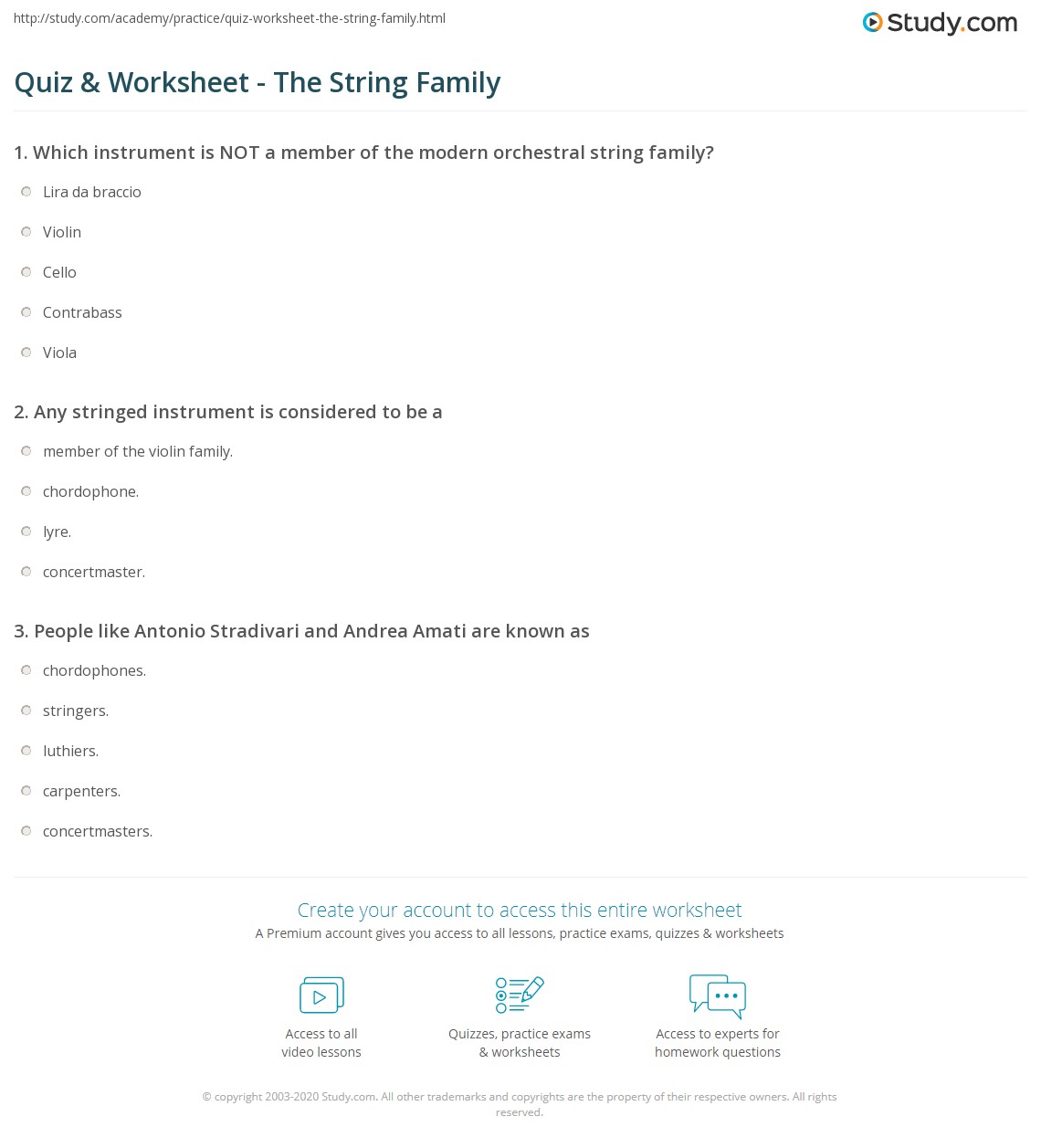 60 The String Family Worksheet 23