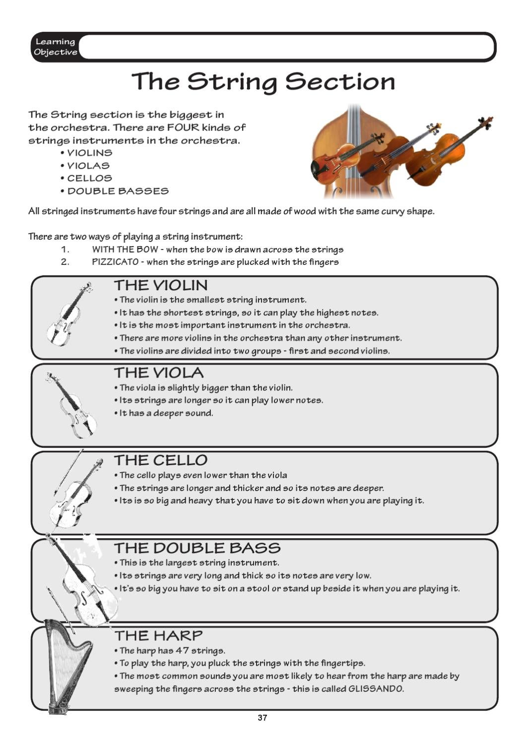 60 The String Family Worksheet 26