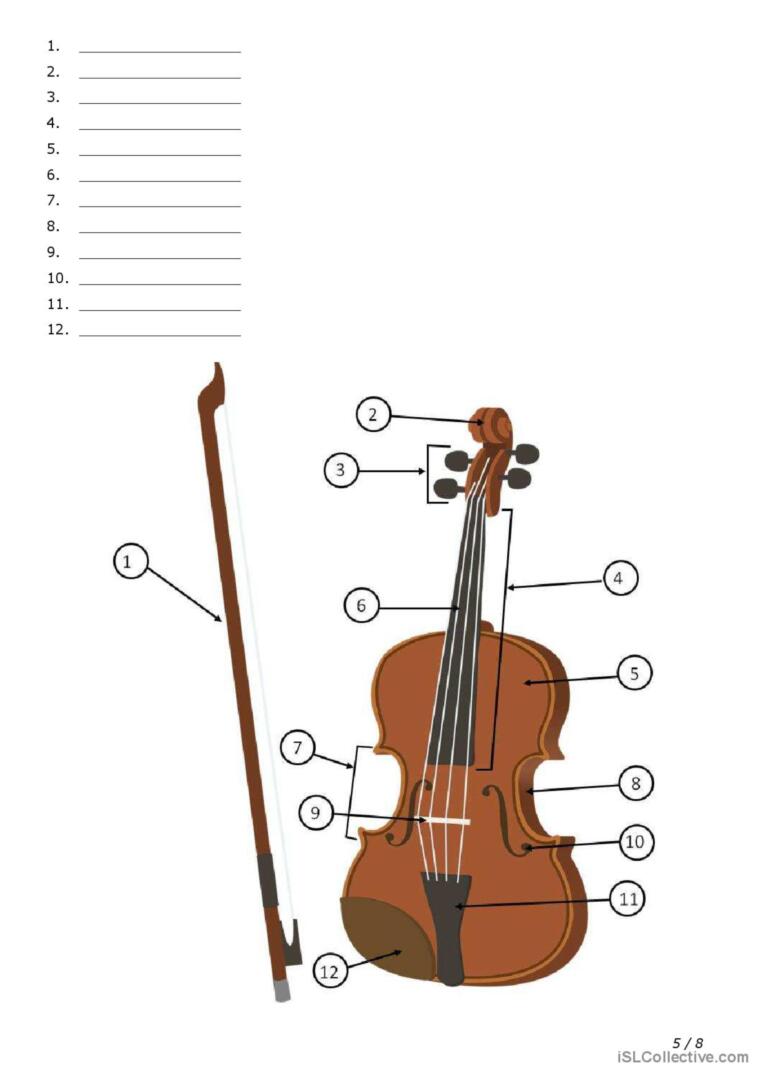 60 The String Family Worksheet 70