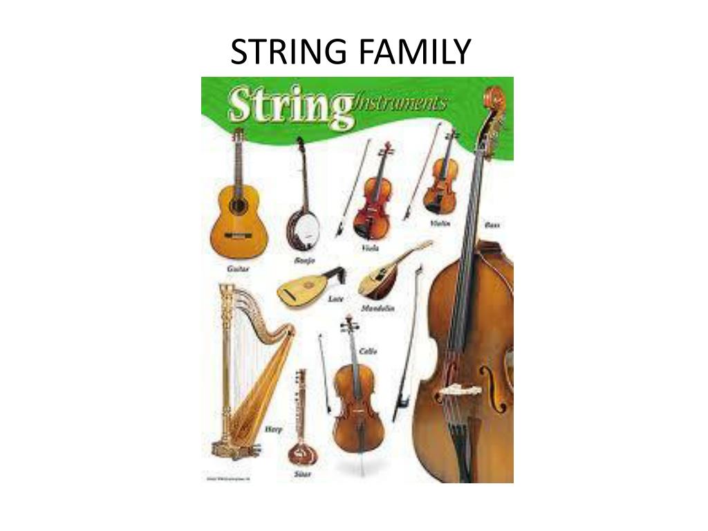 60 The String Family Worksheet 79