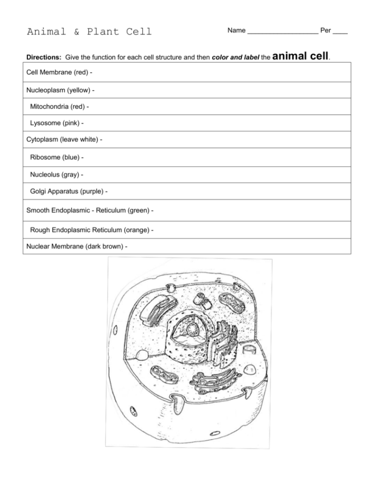 63 Label Plant Cell Worksheets 10