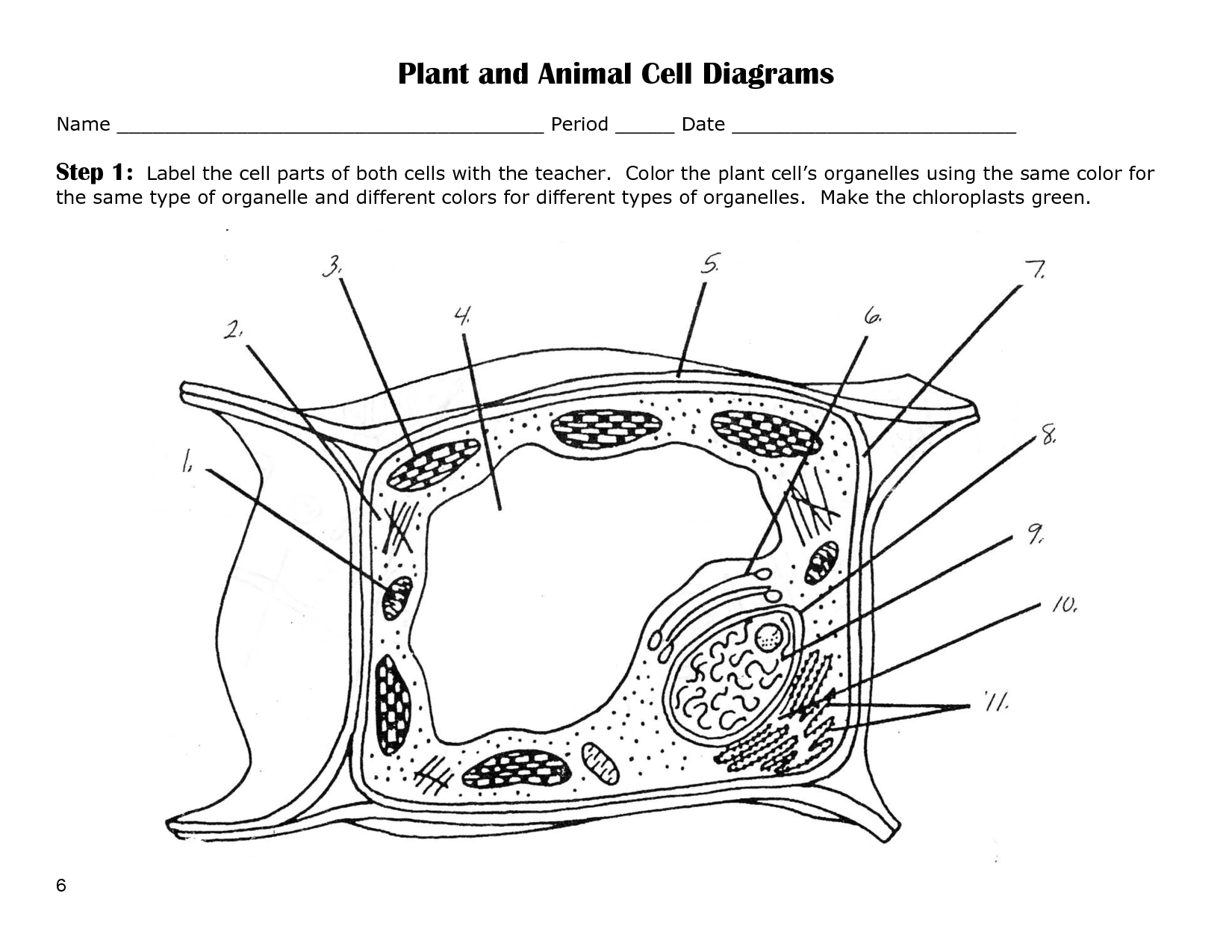 63 Label Plant Cell Worksheets 12