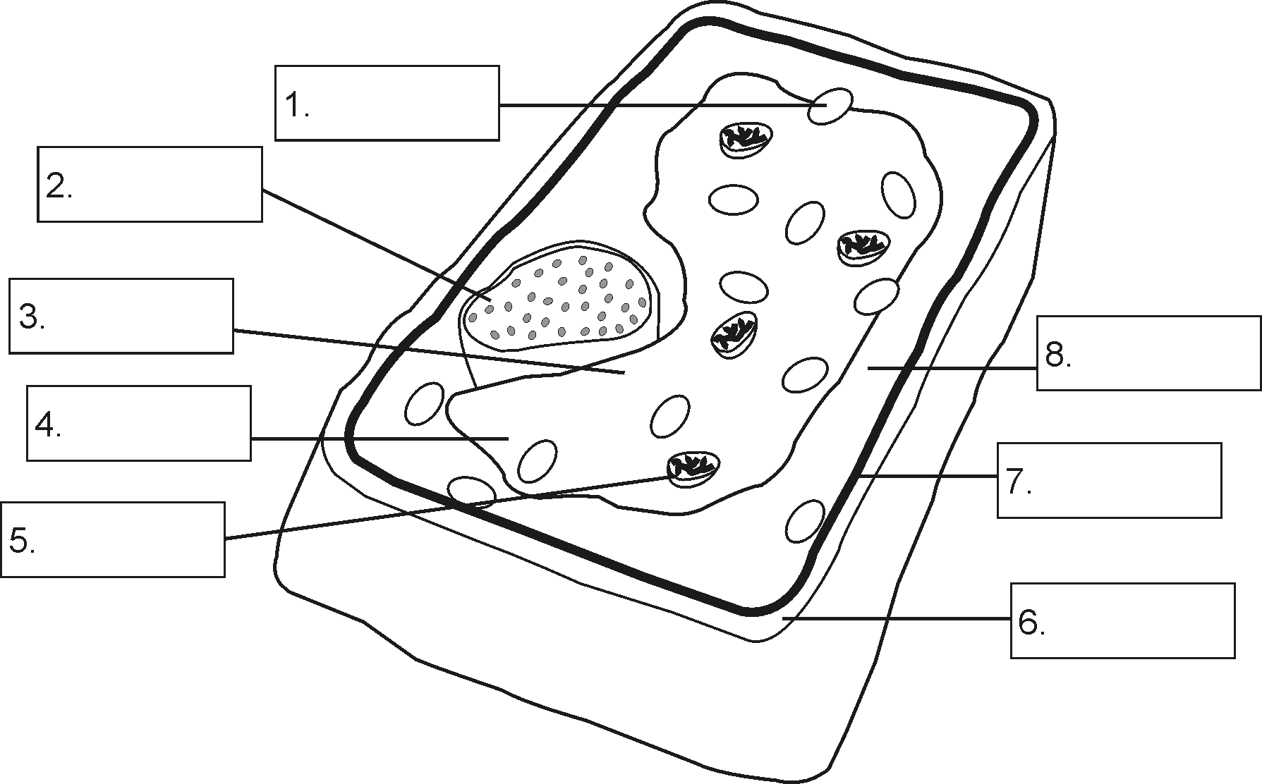 63 Label Plant Cell Worksheets 14