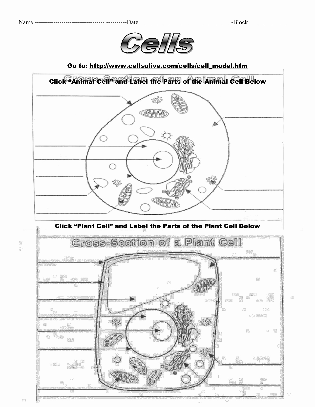 63 Label Plant Cell Worksheets 15